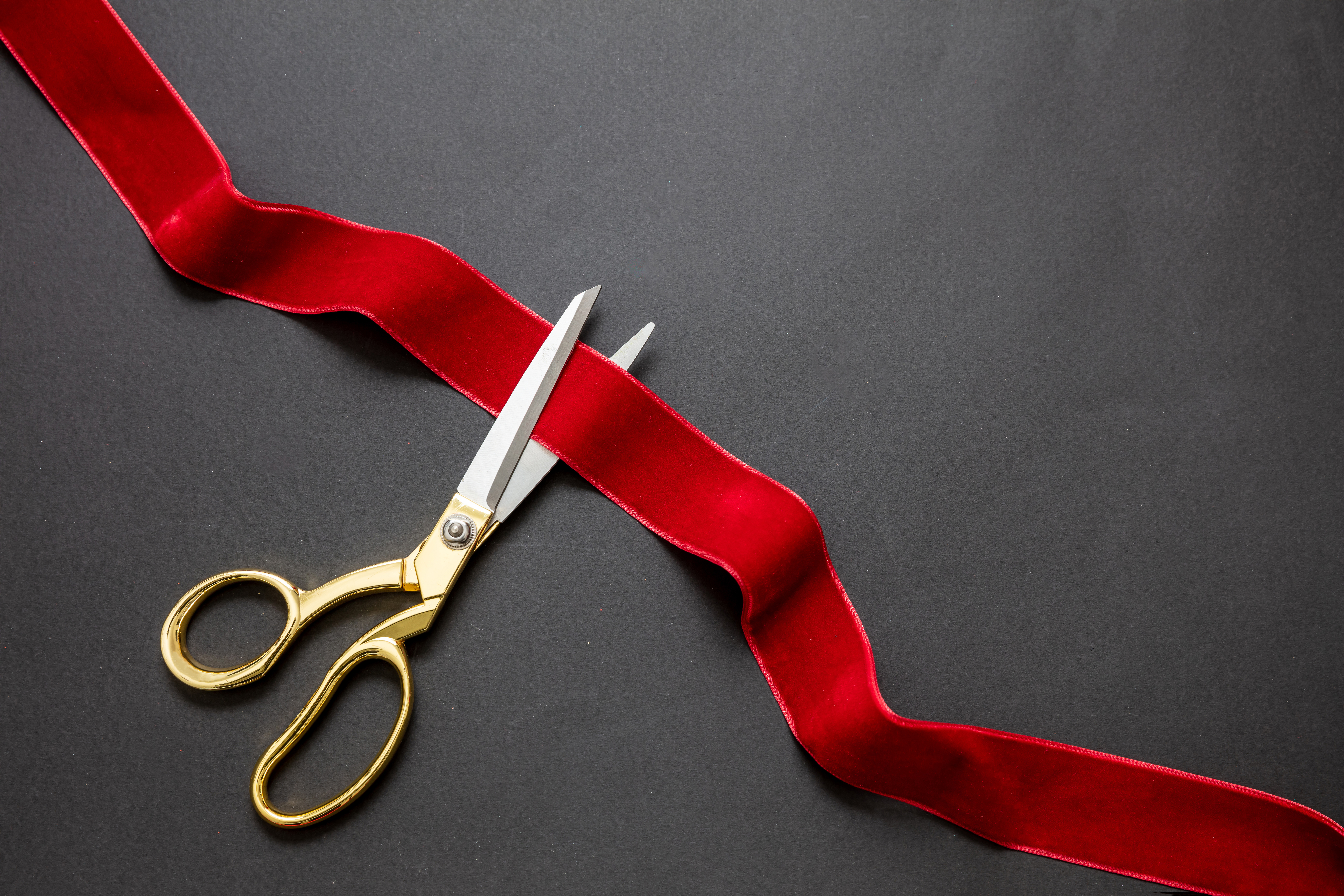 February 8th: Ribbon Cutting & Grand Opening Celebration